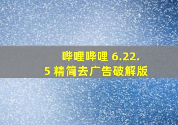 哔哩哔哩 6.22.5 精简去广告破解版